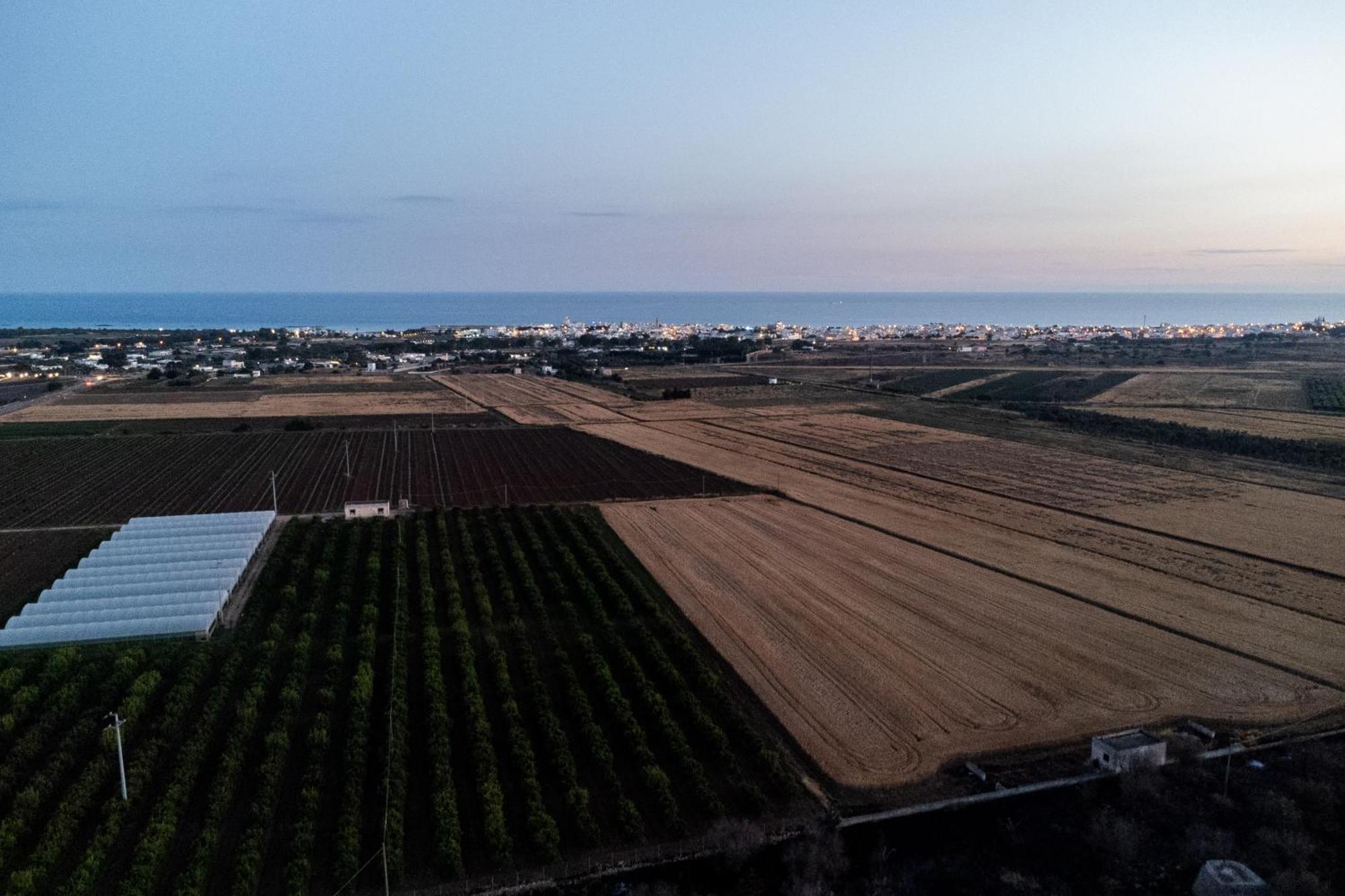 Ferienwohnung Dimora Soleda Torre San Giovanni Exterior foto